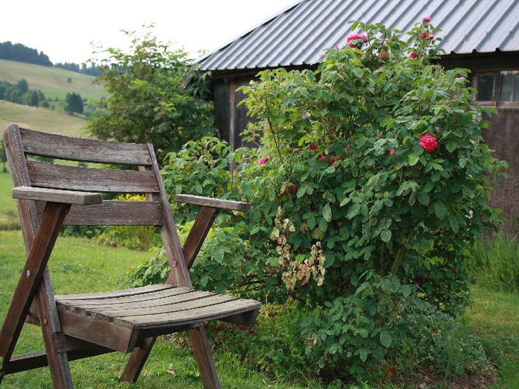 Hotel Haus Tannenhof Ibach Esterno foto